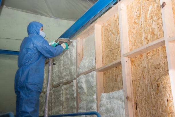 Best Insulation Inspection Services  in High Point, NC