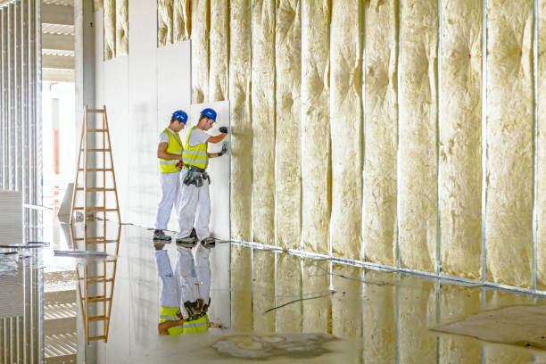 Best Garage Insulation Installation  in High Point, NC